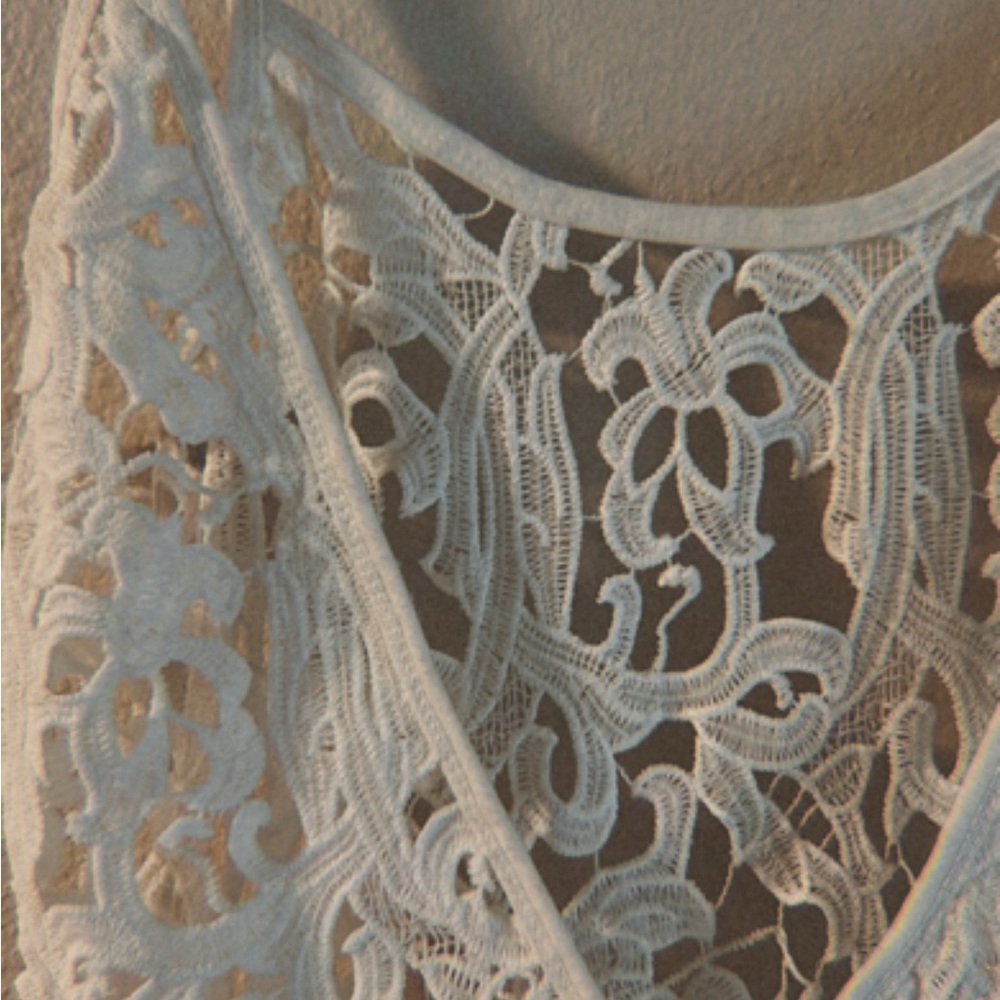 Elegant Lace Dress